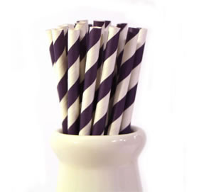 Paper Straws - Purple stripe